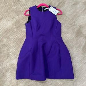 Zara Size S dress (brand new with tags)